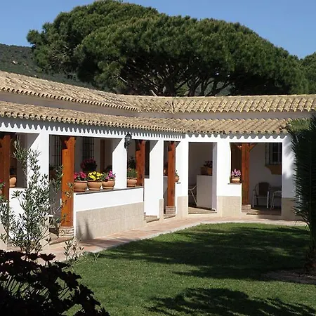 Acacias Los Caños de Meca