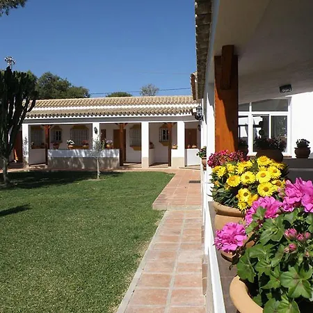 Acacias